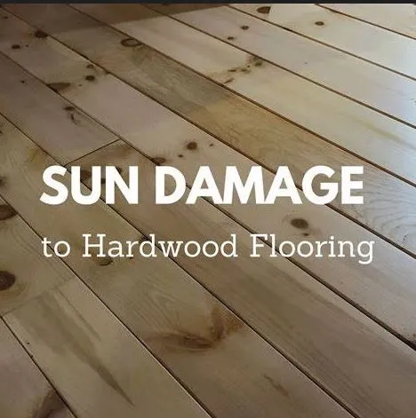 How Can You Prevent Sun Damage to Your Hardwood Floors?